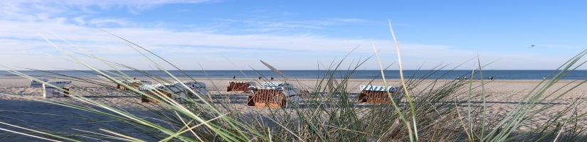  Strandkorb Edition 