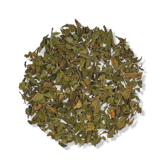 TMT Frischer Friese Dose