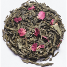 Sencha Sakura (Kirschnote)